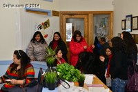 <div id=myiframe><iframe src=http://www.facebook.com/plugins/like.php?href=http%3A%2F%2Fsajha%2Ecom%2Fsajha%2Fhtml%2Findex%2Ecfm%3Frecommendations%3D1%26id%3D170%26photofile%3DDSC%5F0711%2EJPG&layout=standard&show_faces=false&share=true&width=450&action=like&colorscheme=dark&height=15 scrolling=no frameborder=0 allowTransparency=true></iframe></div>