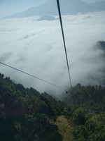 <div id=myiframe><iframe src=http://www.facebook.com/plugins/like.php?href=http%3A%2F%2Fsajha%2Ecom%2Fsajha%2Fhtml%2Findex%2Ecfm%3Frecommendations%3D1%26id%3D190%26photofile%3DIMG%5F20161117%5F095139%2Ejpg&layout=standard&show_faces=false&share=true&width=450&action=like&colorscheme=dark&height=15 scrolling=no frameborder=0 allowTransparency=true></iframe></div>